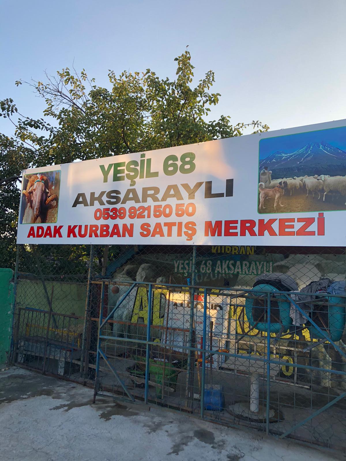 Sezer Adak Fotoğraf - 15